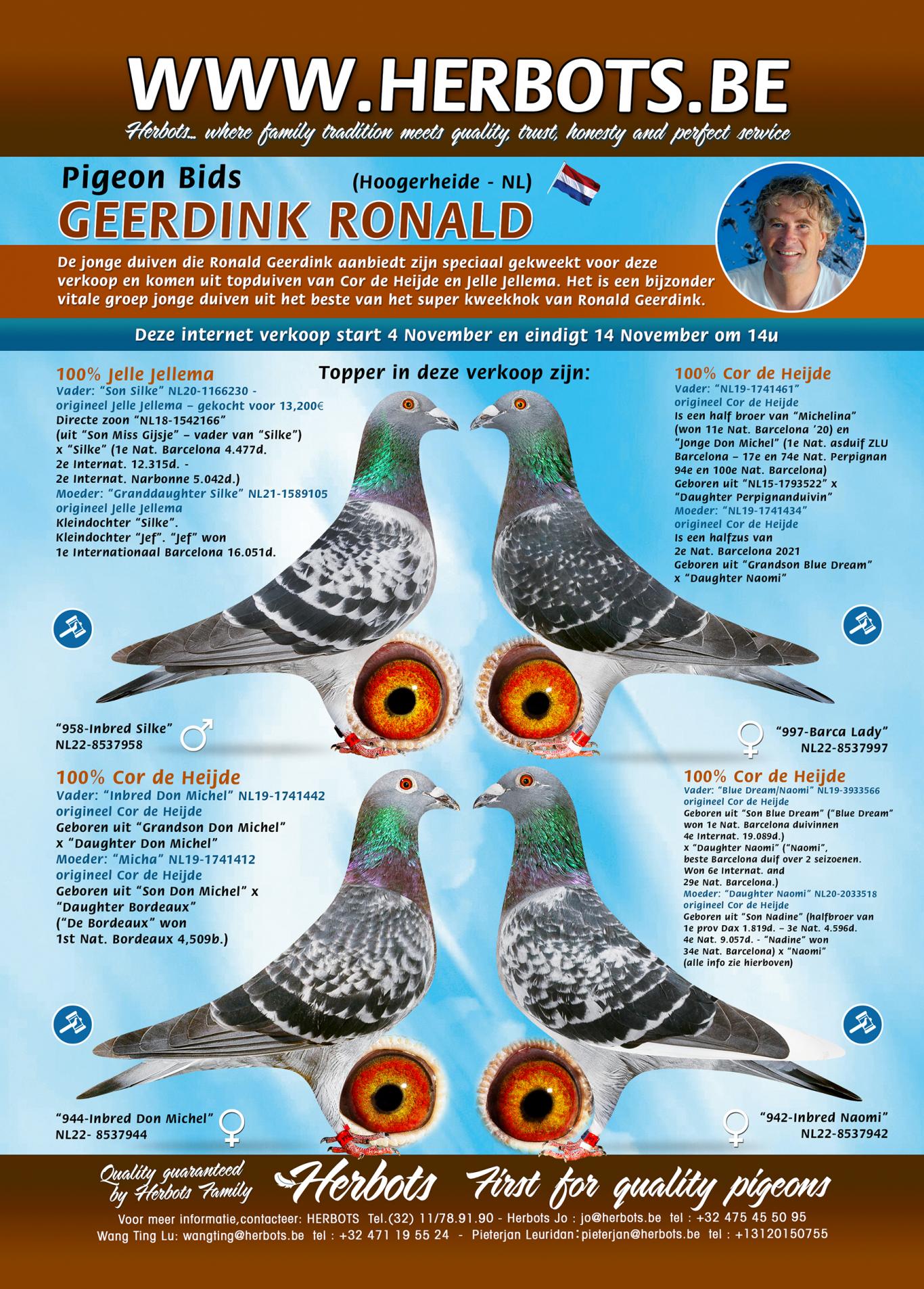 Herbots Ronald Geerdink Hoogerheide succes Is Voor Mij Een 